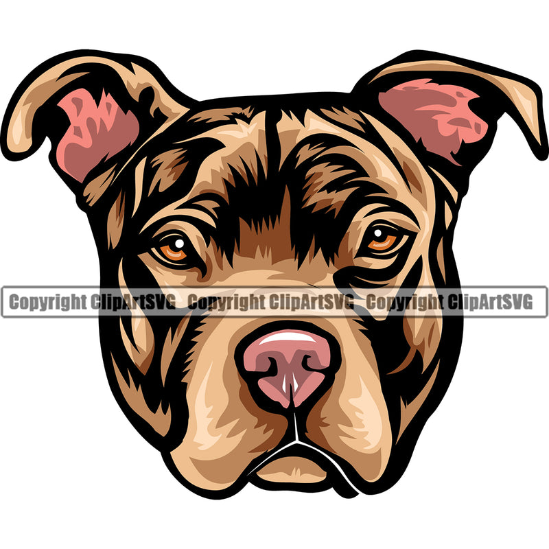 Pit Bull Dog Brown Color Design Puppy Pup Head Purebred Pedigree Canine K-9 K9 Animal Portrait Doggy Face Vector Clipart SVG