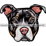 Pit Bull Dog Tri Color Design Element Puppy Head Purebred Pedigree Canine K-9 K9 Animal Portrait Doggy Vector Clipart SVG