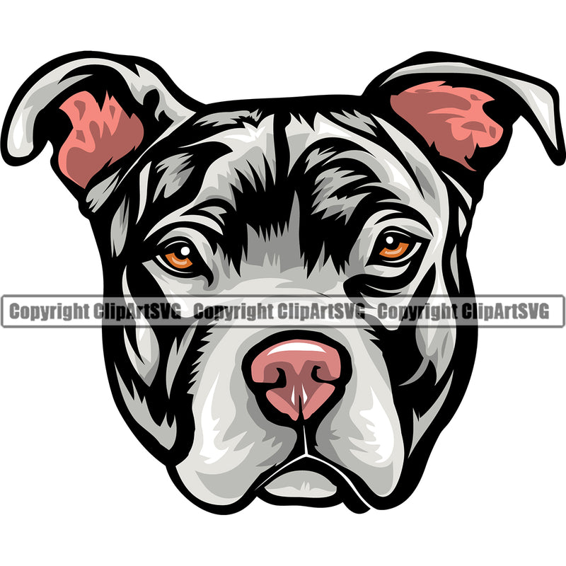 Pit Bull Dog White Color Design Element Puppy Pup Head Purebred Pedigree Canine K-9 K9 Animal Doggy Face Vector Clipart SVG