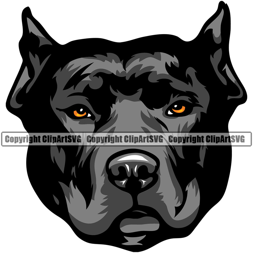 Pit Bull Dog Black Color Design Puppy Pup Head Purebred Pedigree K9 Animal Portrait Doggy Face Cute Clipart SVG