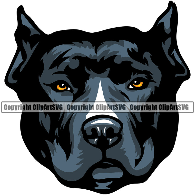 Pit Bull Dog Design Blue Color Head Puppy Pup Head Purebred Pedigree Canine K-9 K9 Animal Portrait Doggy Vector Clipart SVG