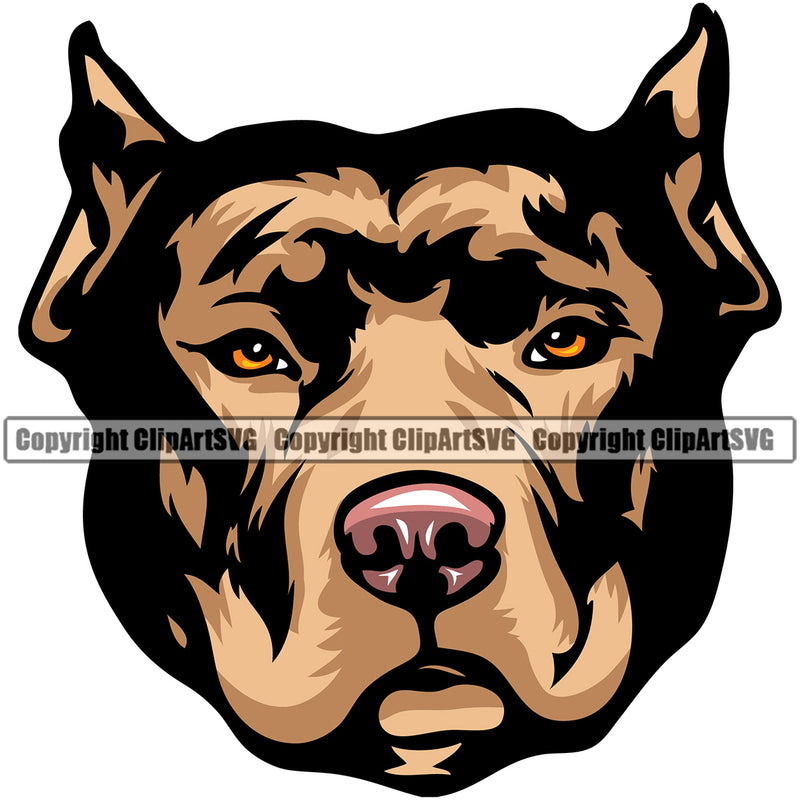 Pit Bull Dog Brown Color Design Element Puppy Pup Head Purebred Pedigree Canine K-9 K9 Animal Portrait Doggy Face Vector Clipart SVG