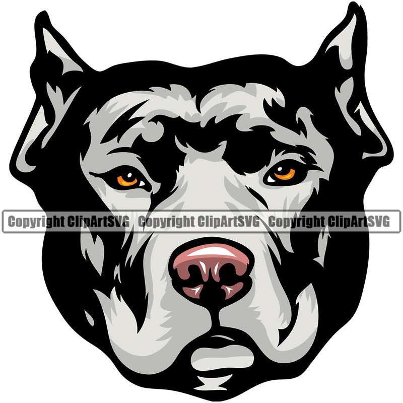 Pit Bull Dog White Color Design Puppy Pup Head Purebred Pedigree Canine K-9 K9 Animal Portrait Doggy Face Cute Body Vector Clipart SVG