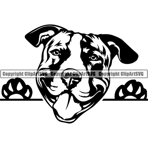 Pit Bull Dog Peeking Design Element Puppy Pup Head Purebred Pedigree Canine K-9 K9 Animal Portrait Doggy Face Cute Body Vector Clipart SVG