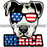 Pit Bull Dog Wearing Sunglasses Merica Text Color Design Element Puppy Pup Head Purebred Pedigree Canine K-9 K9 Animal Portrait Doggy Face Cute Clipart SVG