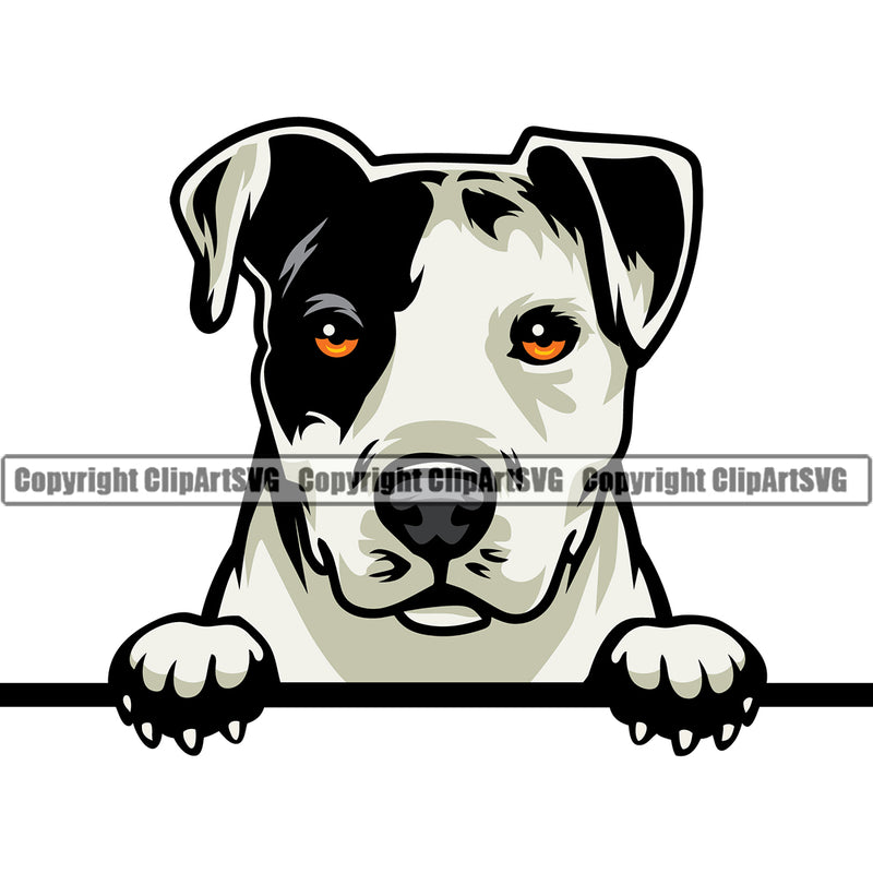Pit Bull Dog Peeking Design Color Head Animal Puppy Pup Head Purebred Pedigree Canine K-9 K9 Animal Portrait Doggy Vector Clipart SVG