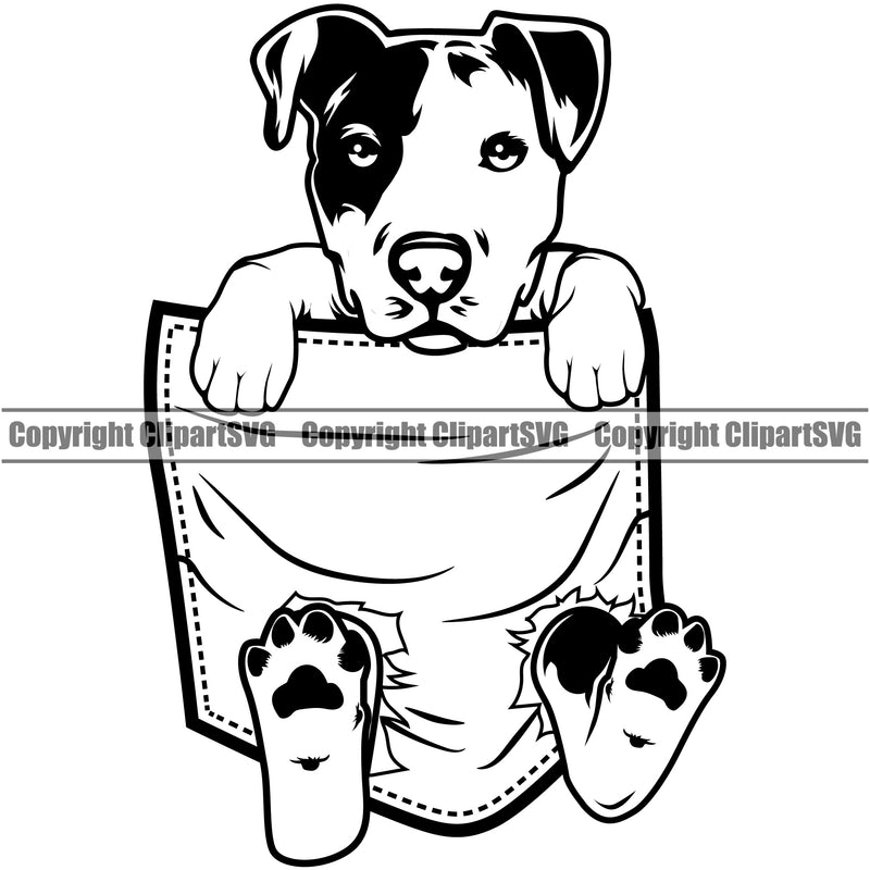 Pit Bull Dog Dog Hanging From Shirt Pocket Black White Color Design T-Shirt Tshirt Purebred Pedigree Canine K-9 K9 Animal Portrait Doggy Face Cute Body Puppy Vector Clipart SVG