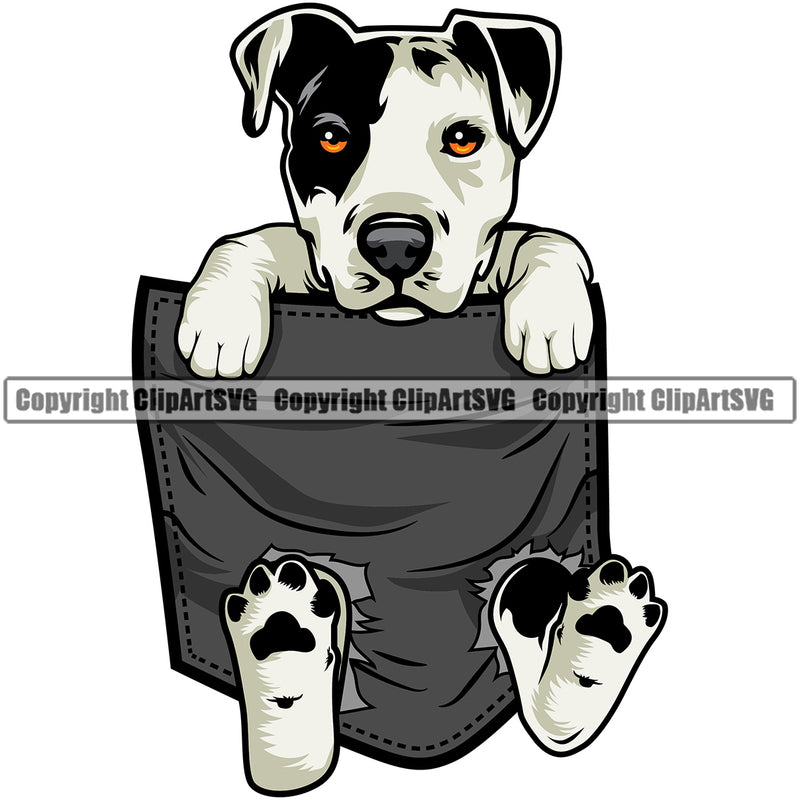 Pit Bull Dog Dog Hanging From Shirt Pocket T-Shirt Tshirt Color Design Element Purebred Pedigree Canine K-9 K9 Animal Portrait Doggy Face Cute Body Puppy Vector Clipart SVG