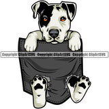 Pit Bull Dog Dog Hanging From Shirt Pocket T-Shirt Tshirt Color Design Element Purebred Pedigree Canine K-9 K9 Animal Portrait Doggy Face Cute Body Puppy Vector Clipart SVG