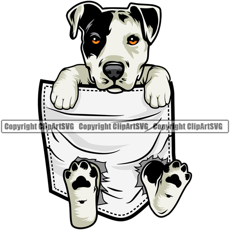 Pit Bull Dog Dog Hanging From Shirt Pocket Color Design Element Puppy Pup Head Purebred Pedigree Canine K-9 K9 Animal Portrait Doggy Face Cute Body Vector Clipart SVG