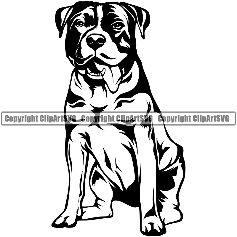 Pit Bull Dog Sitting Design Animal Position  Puppy Pup Head Purebred Pedigree Canine K-9 K9 Animal Portrait Doggy Face Body Clipart SVG