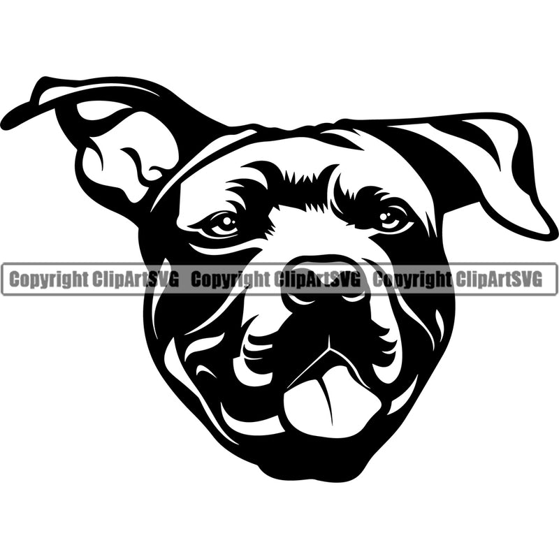 Pit Bull Dog Design Element  Puppy Pup Head Purebred Pedigree Canine K-9 K9 Animal Portrait Doggy Face Vector Clipart SVG