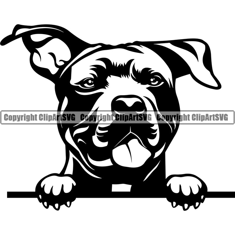 Pit Bull Dog Design Peeking Position  Puppy Pup Head Purebred Doggy Canine K-9 K9 Animal Portrait Face Vector Pedigree Clipart SVG