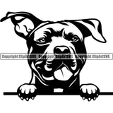 Pit Bull Dog Design Peeking Position  Puppy Pup Head Purebred Doggy Canine K-9 K9 Animal Portrait Face Vector Pedigree Clipart SVG
