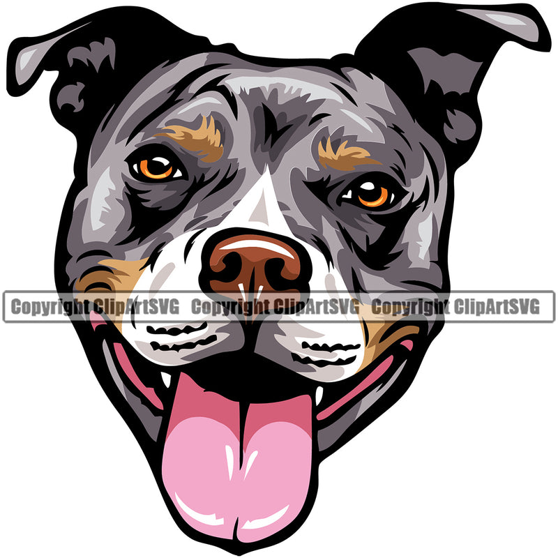 Pit Bull Dog Tri Color Design Happy Face Smile Design Puppy Pup Head Purebred Pedigree Canine K-9 K9 Animal Portrait Doggy Face Cute Vector Clipart SVG