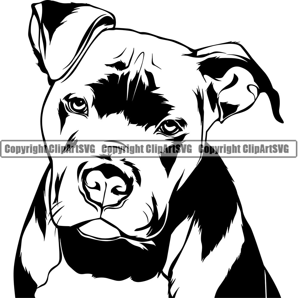 Pit Bull Dog Sad Face Design Element Puppy Pup Head Purebred Pedigree ...