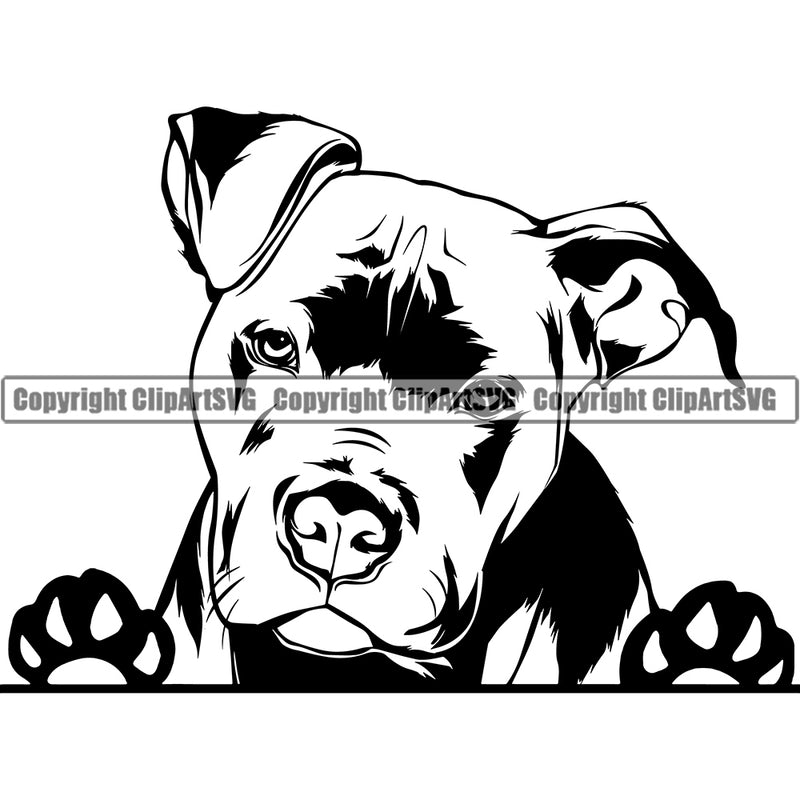 Pit Bull Dog Sad Face Peeking Design Element Puppy Pup Head Purebred Pedigree Canine K-9 K9 Animal Portrait Doggy Face Cute Vector Clipart SVG