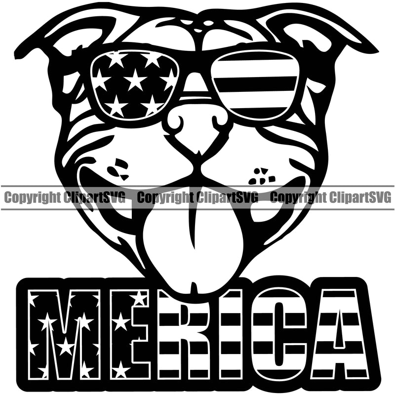Pit Bull Dog Wearing Sunglasses With Merica Text Design Puppy Pup Head Purebred Pedigree Canine K-9 K9 Portrait Doggy Face Animal Vector Clipart SVG