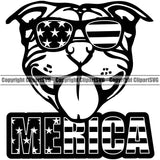 Pit Bull Dog Wearing Sunglasses With Merica Text Design Puppy Pup Head Purebred Pedigree Canine K-9 K9 Portrait Doggy Face Animal Vector Clipart SVG