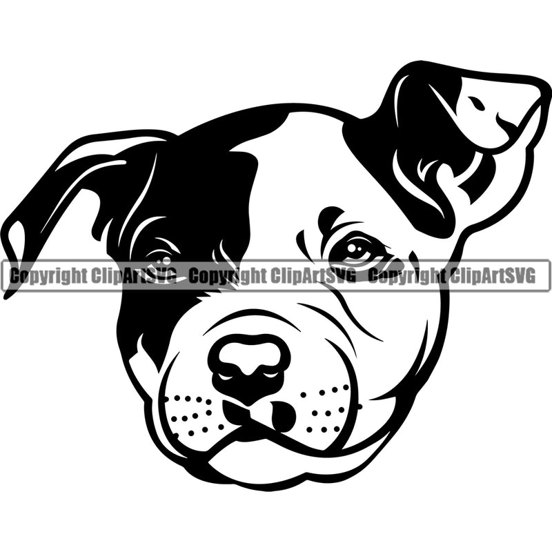 Pit Bull Dog Head Design Element Puppy Pup Head Purebred Pedigree Canine K-9 K9 Animal Portrait Doggy Face Cute Body Vector Clipart SVG