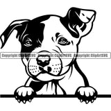 Pit Bull Dog Peeking Design Element Puppy Pup Head Purebred Pedigree Canine K-9 K9 Animal Portrait Doggy Face Cute Body Clipart SVG