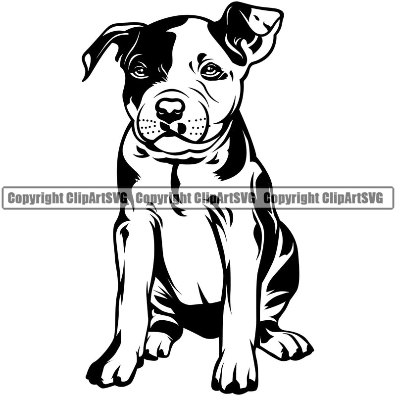Pit Bull Dog Sitting Design Element Puppy Pup Head Purebred Pedigree Canine K-9 K9 Animal Portrait Doggy Face Cute Body Vector Clipart SVG