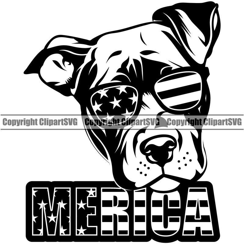 Pit Bull Dog Wearing Sunglasses With Merica Text Design USA Flag Design Puppy Pup Head Purebred Pedigree Canine K-9 K9 Animal Portrait Doggy Face Vector Clipart SVG