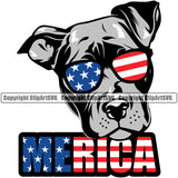 Pit Bull Dog Wearing Sunglasses With Merica Text Color Design Element Puppy Pup Head Purebred Pedigree Canine K-9 K9 Animal Portrait Doggy Face Vector Clipart SVG