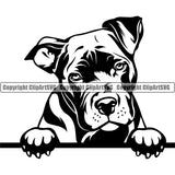 Pit Bull Dog Peeking Design Element Puppy Pup Head Purebred Pedigree Canine K-9 K9 Animal Portrait Doggy Face Cute Clipart SVG