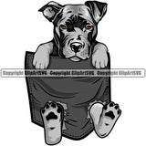 Pit Bull Dog Hanging From Shirt Pocket Color Design Element Puppy Pup Head Purebred Pedigree Canine K9 Animal Portrait Doggy Vector Clipart SVG