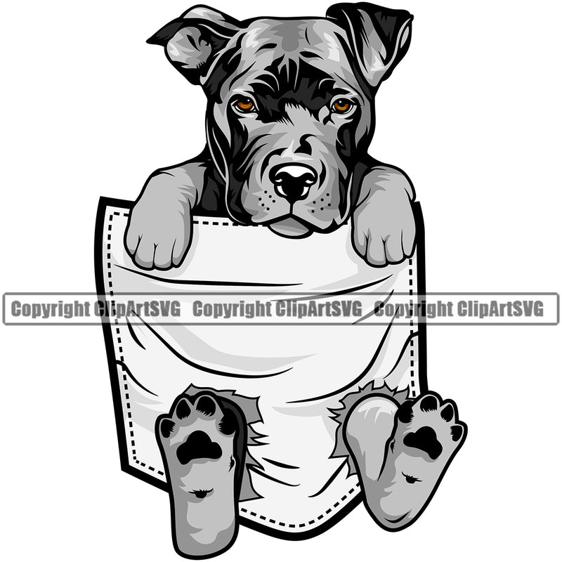 Pit Bull Dog Hanging From Shirt Pocket Color Design Element Puppy Pup Head K-9 K9 Animal Portrait Doggy Purebred Pedigree Canine Clipart SVG