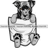 Pit Bull Dog Hanging From Shirt Pocket Color Design Element Puppy Pup Head K-9 K9 Animal Portrait Doggy Purebred Pedigree Canine Clipart SVG