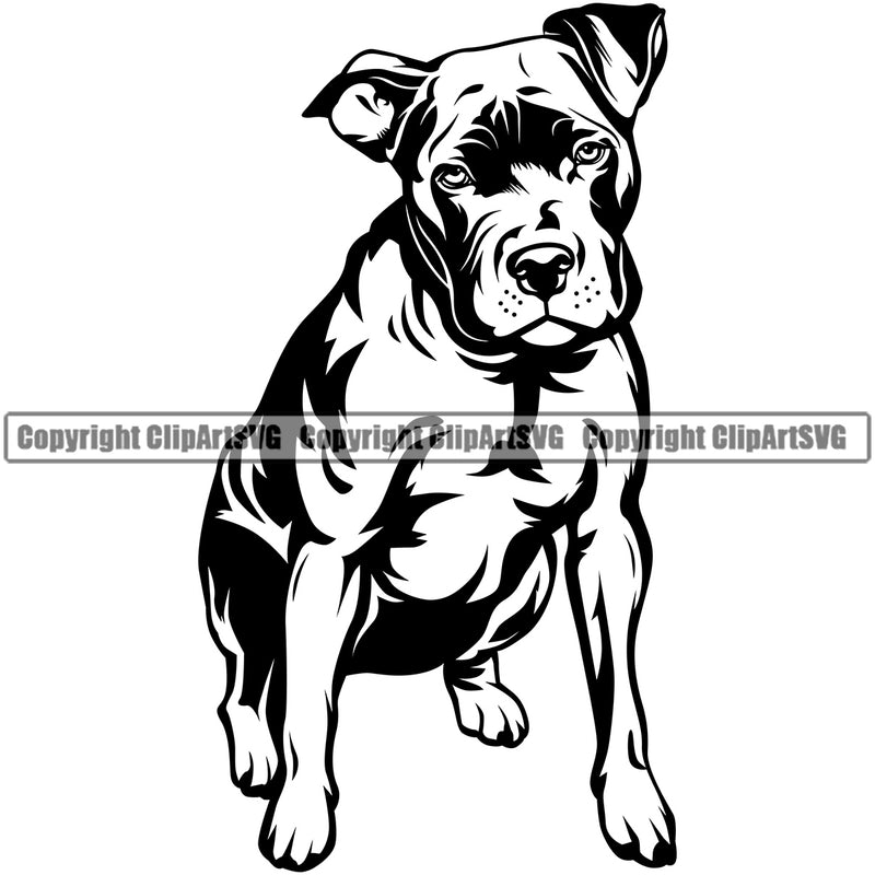 Pit Bull Dog Puppy Pup Head Purebred Pedigree Canine K-9 K9 Animal Portrait Doggy Design Element Vector Clipart SVG