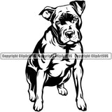 Pit Bull Dog Puppy Pup Head Purebred Pedigree Canine K-9 K9 Animal Portrait Doggy Design Element Vector Clipart SVG
