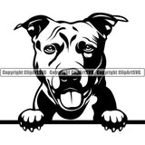 Pit Bull Dog Peeking Design Smile Face Puppy Pup Head Purebred Pedigree Canine K-9 K9 Portrait Doggy Face Cute Body Animal Clipart SVG