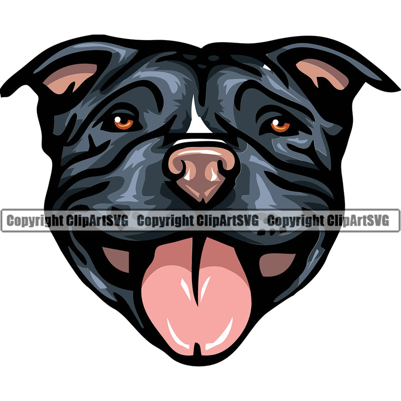 Pit Bull Dog Blue Color Design Element Head Head Purebred Pedigree Canine K-9 K9 Animal Portrait Doggy Face Cute Body Puppy Pup Clipart SVG