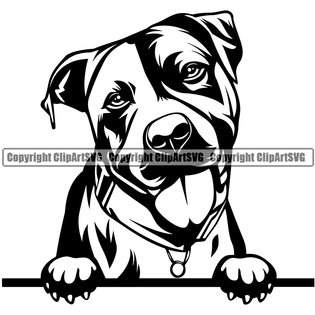 Pit Bull Dog Peeking Design Element Vector Head Purebred Pedigree ...