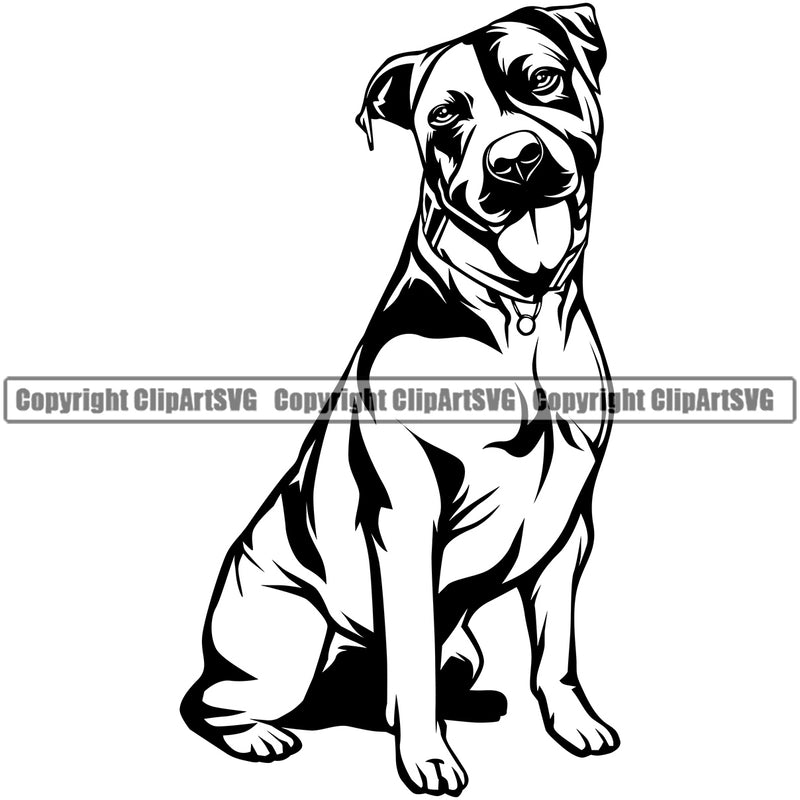 Pit Bull Dog Sitting Position Design Element Head Purebred Pedigree Canine K-9 K9 Animal Portrait Doggy Face Cute Body Vector Clipart SVG