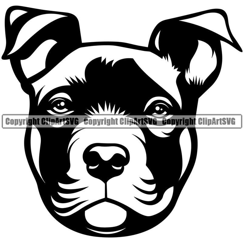 Pit Bull Dog Design Element Head Looking Head Pedigree Canine K-9 K9 Animal Portrait Doggy Face Cute Body Purebred Clipart SVG
