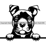 Pit Bull Dog Peeking Position Cute Face Animal  Puppy Pup Head Purebred Pedigree Canine K-9 K9 Portrait Doggy Vector Clipart SVG