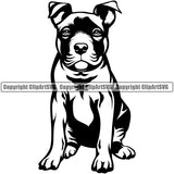 Pit Bull Dog Sitting Position Design Element  Puppy Pup Head Purebred Pedigree Canine K-9 K9 Animal Portrait Doggy Face Vector Clipart SVG