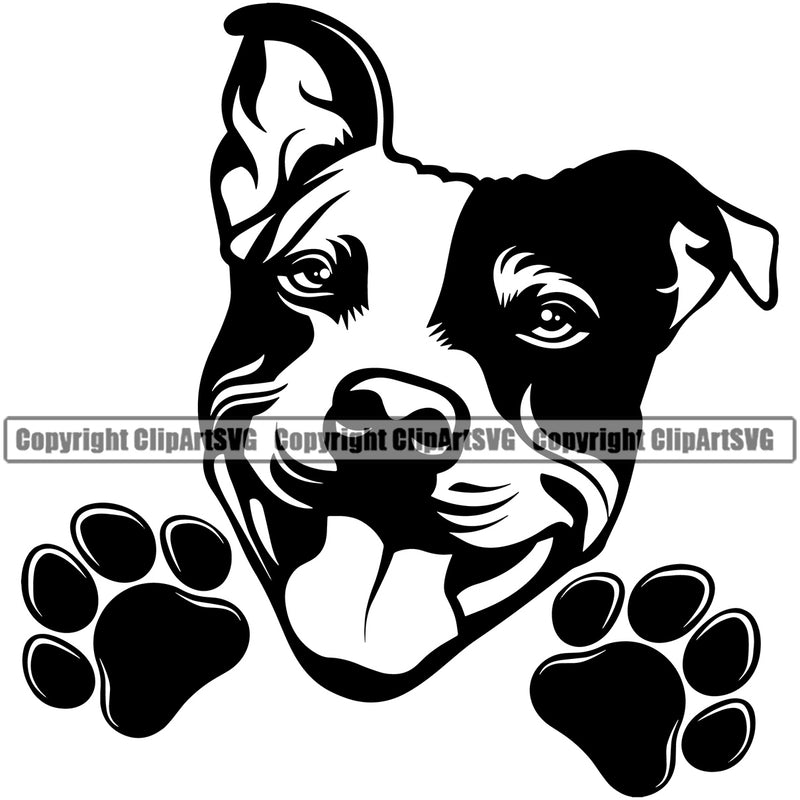 Pit Bull Dog Peeking Design Happy Face Animal  Puppy Pup Head Purebred Pedigree Canine K-9 K9 Animal Portrait Doggy Face Vector Clipart SVG