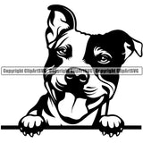 Pit Bull Dog Peeking Position Smile Happy Face Design Element  Puppy Pup Head Purebred Pedigree Canine K-9 K9 Animal Portrait Doggy Vector Clipart SVG