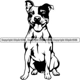 Pit Bull Dog Sitting Design Element  Puppy Pup Head Purebred Pedigree Canine K-9 K9 Animal Portrait Doggy Face Vector Clipart SVG