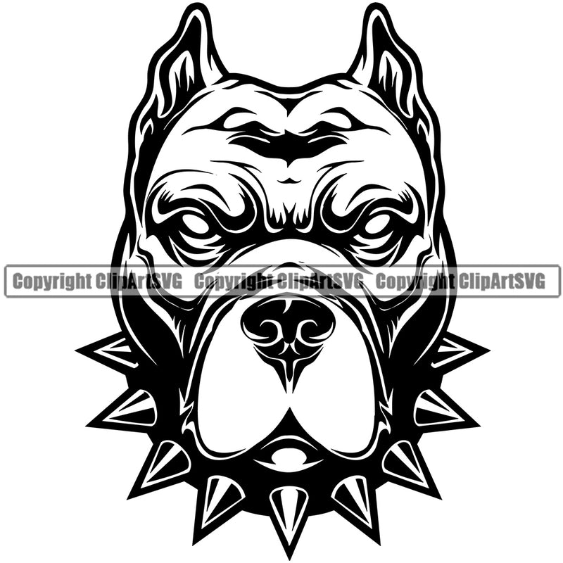 Pit Bull Dog Design With Collar Design Angry Face Puppy Pup Purebred Pedigree Canine K-9 K9 Portrait Doggy Face Cute Head Animal Vector Clipart SVG