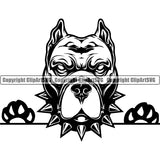 Pit Bull Dog Peeking Design Collar Head Puppy Pup Head Canine K-9 K9 Animal Portrait Doggy Face Cute Pedigree Purebred Vector Clipart SVG