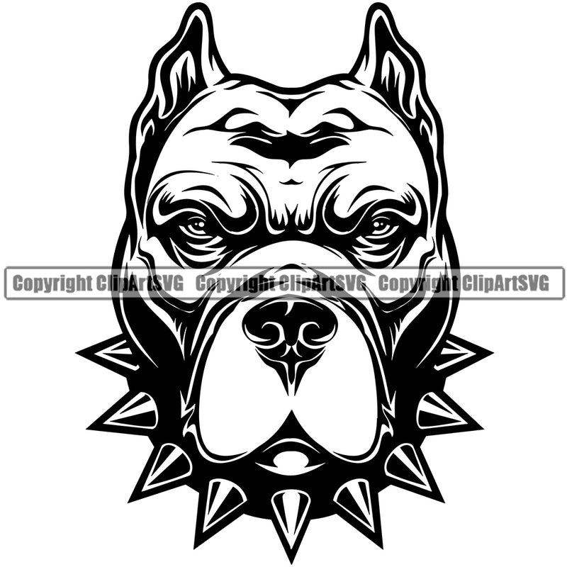 Pit Bull Dog With Collar Design Mascot Head Puppy Pup Head Purebred Pedigree Canine K-9 K9 Portrait Doggy Face Cute Animal Vector Clipart SVG