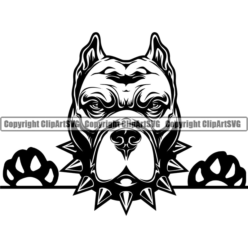 Pit Bull Dog With Collar Mascot Design Element Peeking Position Puppy Pup Head Purebred Pedigree Canine K-9 K9 Portrait Doggy Face Cute Animal Clipart SVG