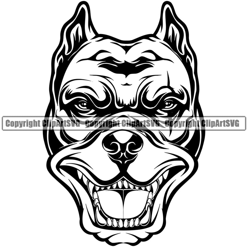 Pit Bull Dog Mascot With Collar Design Element Angry Face Teeth Puppy Head Purebred Pedigree Canine K9 Animal Portrait Doggy Face Cute Vector Clipart SVG