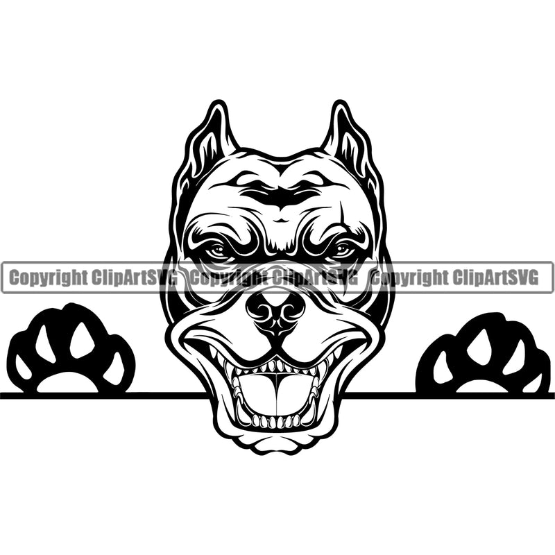 Pit Bull Dog Peeking Position Design Element Puppy Pup Head Purebred Pedigree K-9 K9 Portrait Doggy Face Cute Canine Animal Vector Clipart SVG